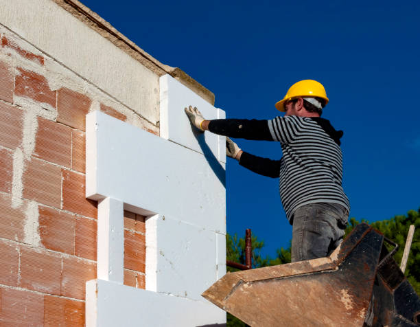 Best Local Insulation Services  in Forest Lake, IL
