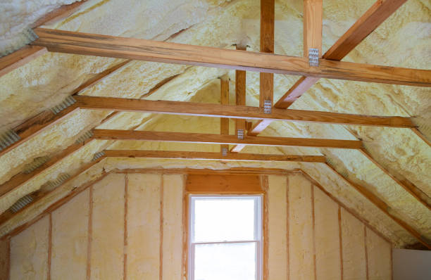 Best Soundproof Insulation Installation  in Forest Lake, IL