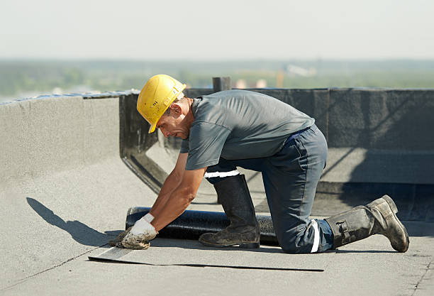 Best Insulation Contractor Near Me  in Forest Lake, IL