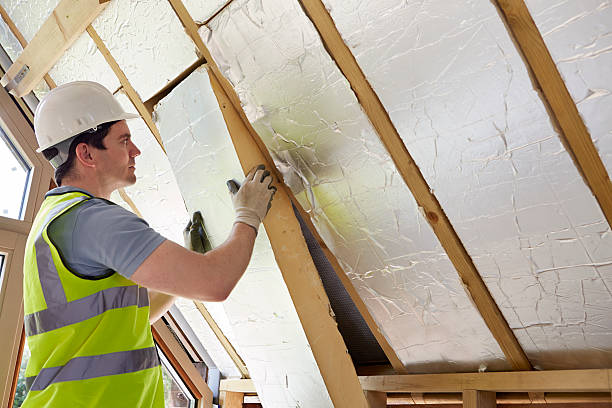 Best Local Insulation Services  in Forest Lake, IL